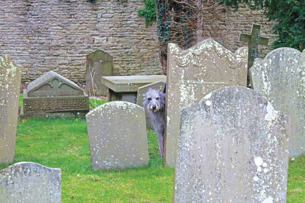 Churching And Lurching