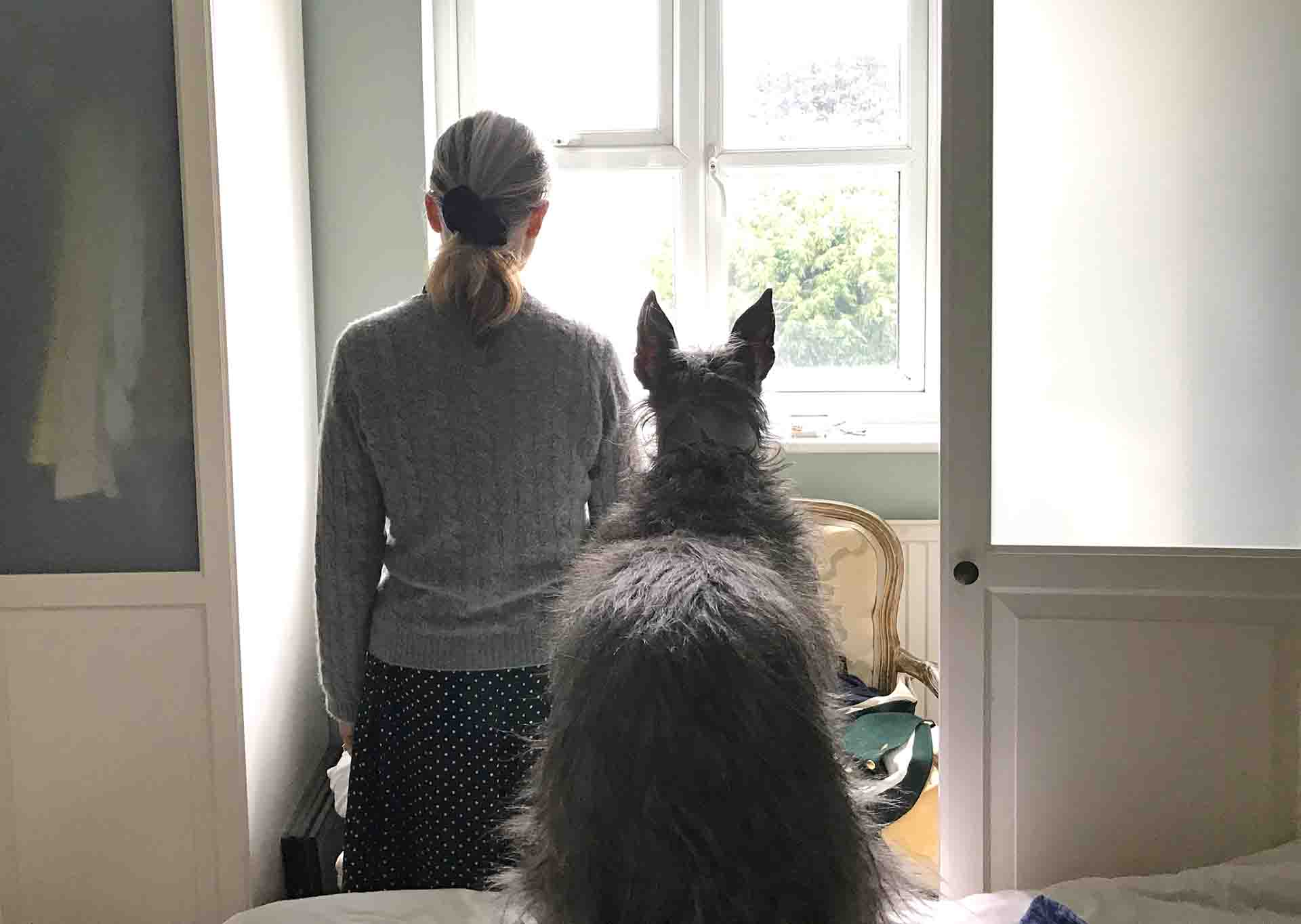 Featured image for “Dogged Devotion and Doggie Instincts”