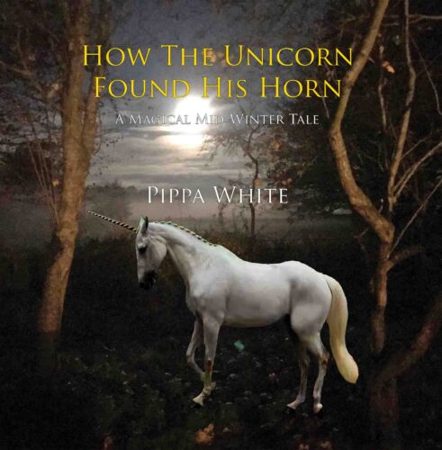 How The Unicorn Found His Horn - Paperback Book