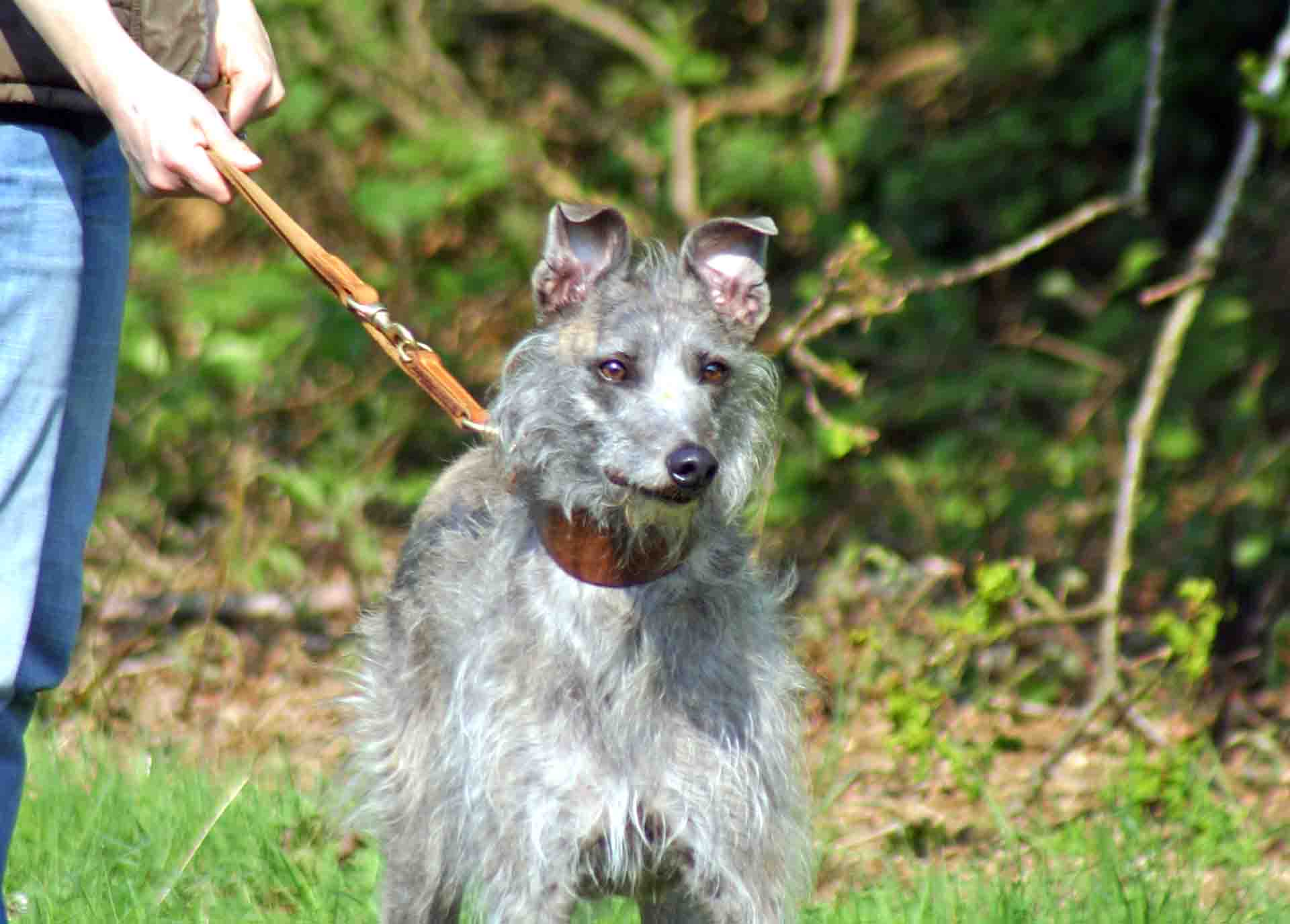 Featured image for “To Lead Or Not To Lead”