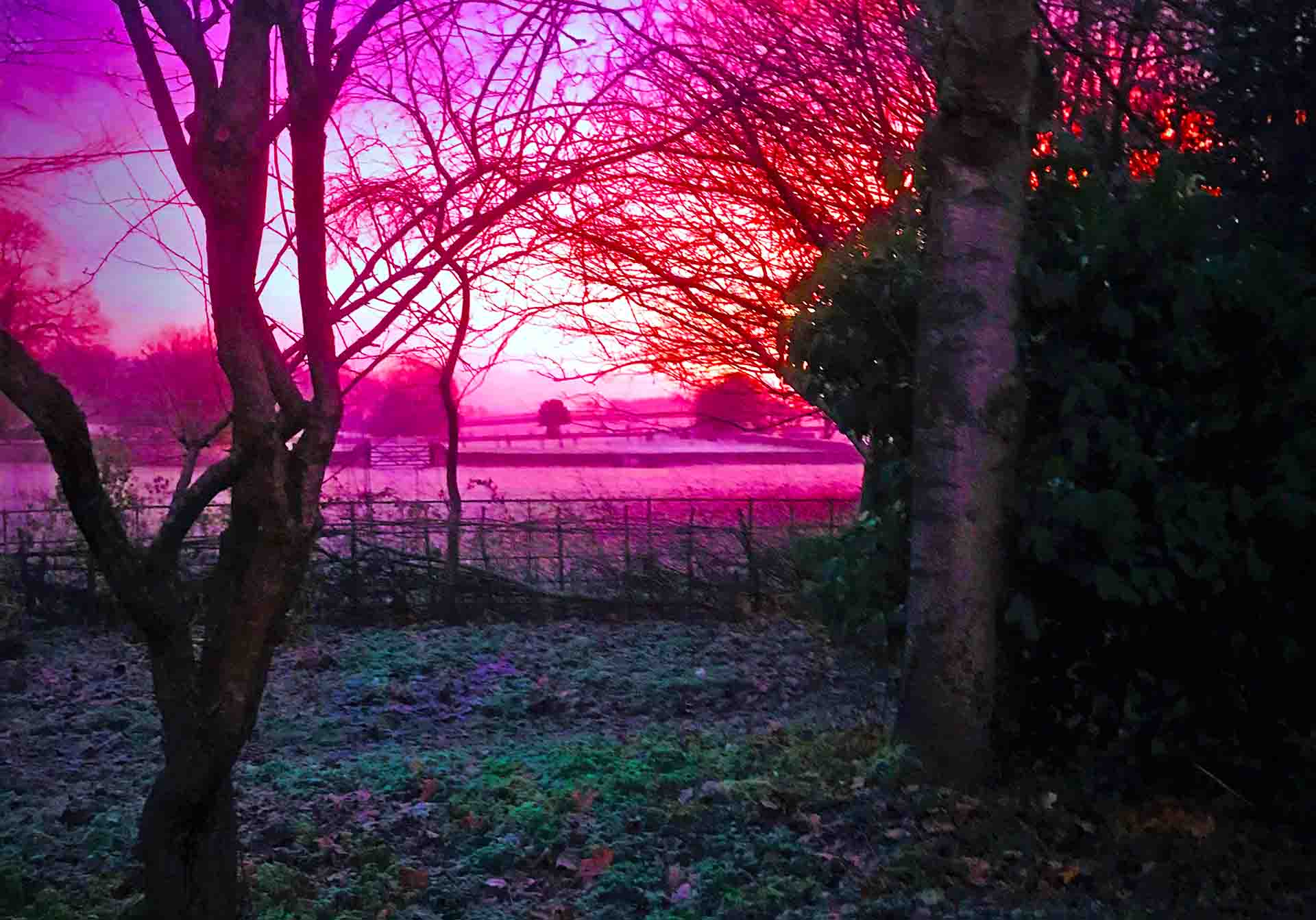 Featured image for “Happy Christmas”