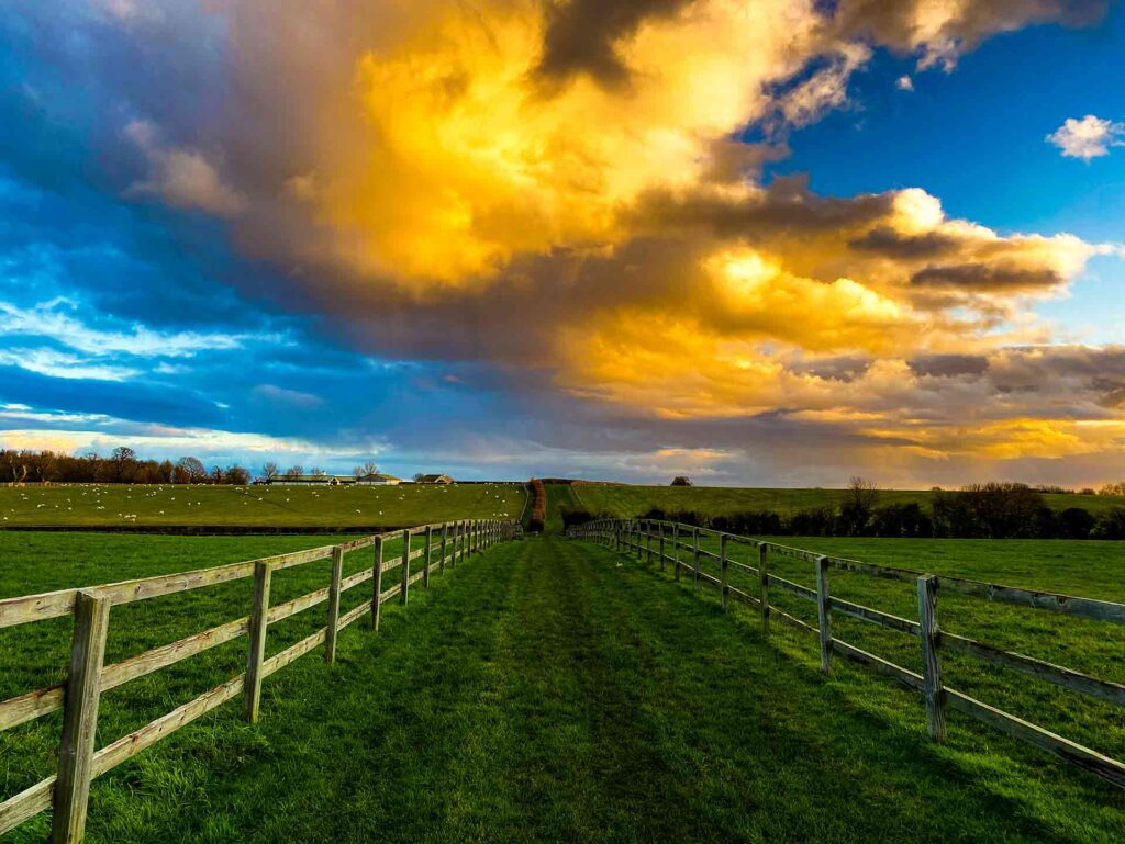 Sunlit Clouds Over The Horse Paddocks